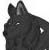 :iconsin-wolf: