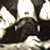 :iconsinch: