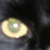 :iconsinewy: