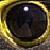 :iconsinfalcon: