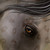 :iconsinful-studios: