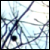:iconsing-it: