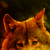 :iconsinging-shields: