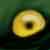 :iconsingswithravens: