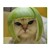 :iconsingvogel: