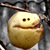 :iconsiniads:
