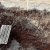 :iconsininenpantteri: