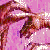 :iconsinistervibe: