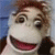 :iconsinmonkeyplz: