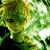 :iconsinner86: