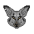 :iconsinnerdragon: