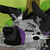 :iconsinoathebandit: