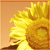 :iconsinsilver: