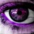 :iconsinsnshadows: