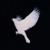 :iconsinsofanangel: