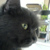:iconsiomay-omi: