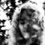 Sion-Rhee :iconsion-rhee: