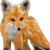 :iconsionnachrua: