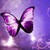 :iconsioux58: