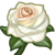 :iconsir-gecko: