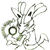 :iconsir-lanied94: