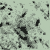 :iconsir-waz: