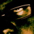 :iconsiranni: