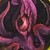 :iconsircrazai: