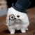 :iconsirdoctorindeed: