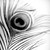 :iconsiren252: