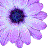 :iconsirenanna: