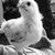 :iconsirenscry02: