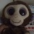 :iconsirikko: