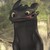 :iconsirioh: