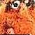 :iconsirisaaclime: