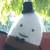 :iconsirnew: