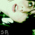 :iconsirrupert: