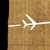 :iconsistema-nervoso: