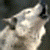 :iconsister-spaz: