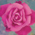 :iconsisterofnight87: