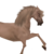 :iconsisy-mini: