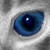 :iconsiszle: