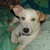 :iconsitas-moonlight: