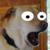 :iconsitethewhitemoonwolf: