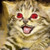 Sitford-Sensei :iconsitford-sensei: