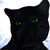 :iconsith-kitten: