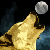 :iconsitting-kupo: