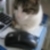 :iconsittingduckbe: