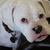 :iconsittingprettyphotos: