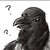 Sivthewolf :iconsivthewolf: